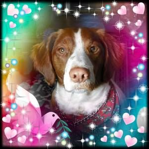 Meet your Posher, George